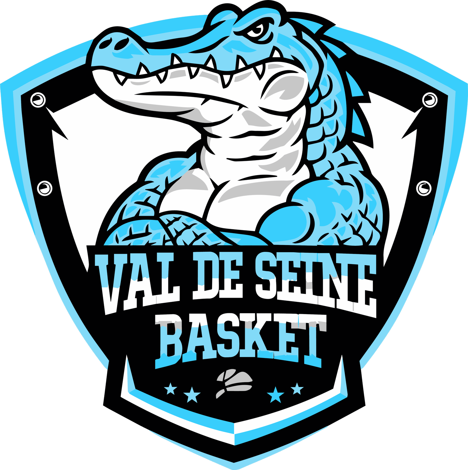 Logo à imprimer sur les textiles et équipements de votre club de basket ball